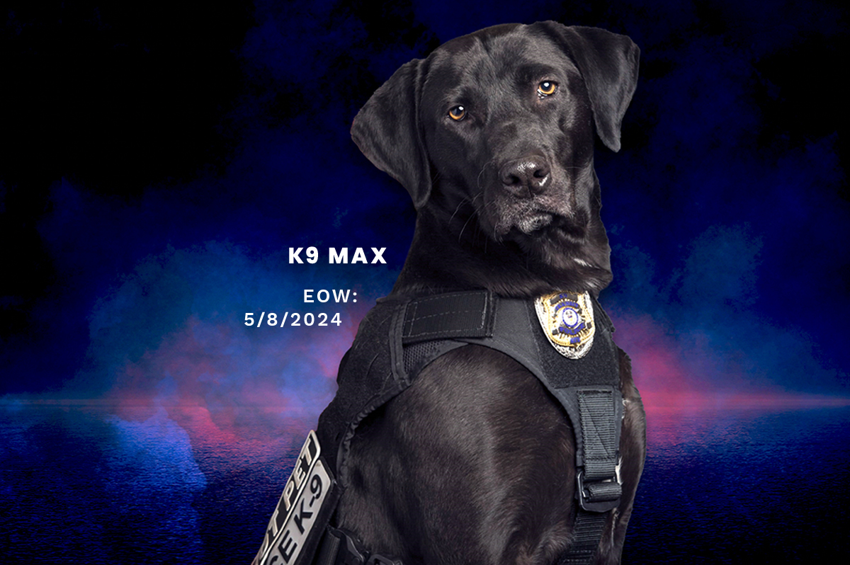 Fallen K9 Max